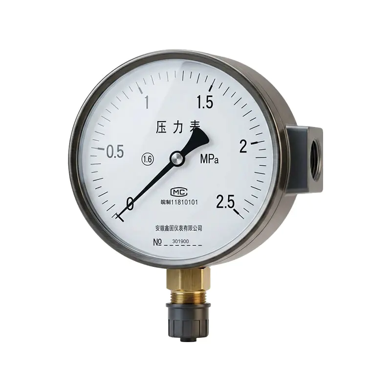 XG／YA -100 、 Manometru pentru amoniac seria 150